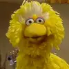 Sean Stoffel - @jumpforsean - TikTok