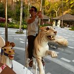 Sean Justus - @seanmwj - Instagram