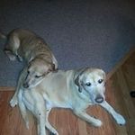 Sean Kaplan - @sean.kaplan1 - Instagram