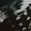 Kasto Sean - @kasto.sean - TikTok