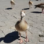 Sean Keith - @seank.01 - Instagram