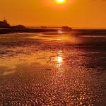 sean kenneally - @seanie_kenneally_ - Instagram