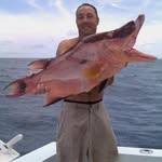 Sean Kenneally - @spearfish88 - Instagram
