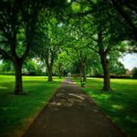 sean kerry - @sean_kerry_photography - Instagram