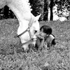 ❤🐎Maviemoncheval🐴❤ - @seankiara09 - TikTok
