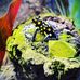 Sean Kidd - Facebook