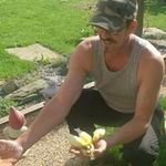 Sean Kielty - @sean.kielty.52 - Instagram