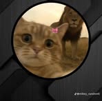 Sean Khumalo - Facebook