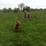 Sean Kilday - Facebook