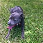 Sean Kilday - @kilday.sean - Instagram