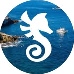 Waterhorse Charters | Kindness-Certified San Diego Adventures - @waterhorsecharters - Instagram