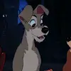 Shaun Kipfer - @shaunkipfer - TikTok