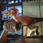 Sean Alexander Kistler - @dinoseank - Instagram