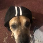 Sean Kistler - @killa.skk - Instagram