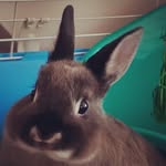 Sean Kitson - @realseank - Instagram