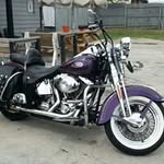 Sean Kivel - @seankivel - Instagram