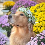 Sean Klaus - Facebook