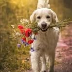 Sean Klaus - Facebook