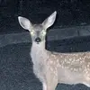 user5447068752483 - @sean.kittle69 - TikTok
