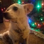 Sean Knowlton - Facebook