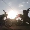 Stan Koegel - @stan.koegel - TikTok