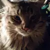 Sean Kohler - @sean.kohler2 - TikTok