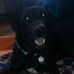 Sean Kolar - Facebook