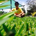 Sean Koo - @sean_koo_19 - Instagram