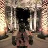 seankoonce5 - @seankoonce5 - TikTok