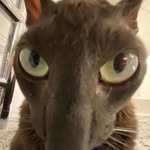Sean Koopmann - @sean_koopmann - Instagram