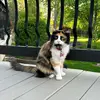 sean krause - @sean.krause - TikTok
