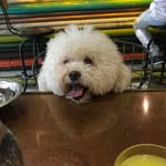 Sean Kuo - @sean_kuo_ - Instagram