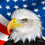 Sean Lance - @seanlance4 - Instagram