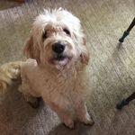 Sean LeMasters - @seanlemasters - Instagram