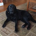 Sean Leslie - @seanleslie14 - Instagram