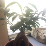 Sean Letts - @shleepmann - Instagram