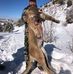Sean Letts - Facebook