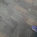 Sean Link - @shlink75 - Instagram