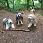 Sean Lipscombe - @seanlipscombe - Instagram