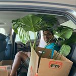 Sean Lobo - @seanlobo_ - Instagram