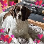 Sandra Lofthouse - @landylady_22 - Instagram