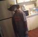 Shawn Lofton - Facebook