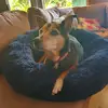 seanloring923 - @seanloring923 - TikTok