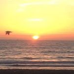 Sean Lumpkin - @selinc06 - Instagram