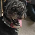 Sean Lunt - @seanisthebest999 - Instagram