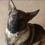 Sean Lynders - @sean_lynders - Instagram