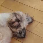 Sean Lynn - @sean08954 - Instagram