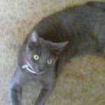 Sean Lytle - @redhoodrises2000 - Instagram