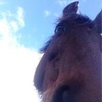 Sean MacDermott - @macdermottsean - Instagram