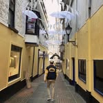 Seán Mac Elwain - @seanmacelwain - Instagram